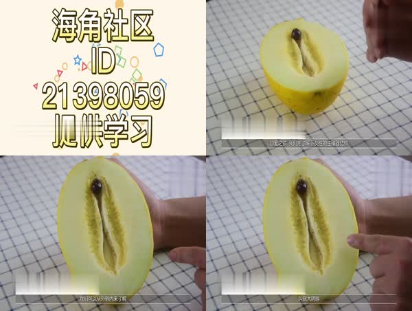 24学习视频实践模拟操作