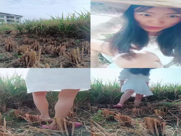 极品农村少妇艳艳子田地里也疯狂表姐老妈就在旁边一起割稻谷